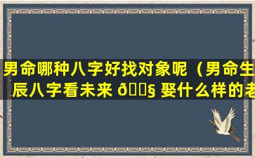 男命哪种八字好找对象呢（男命生辰八字看未来 🐧 娶什么样的老婆）